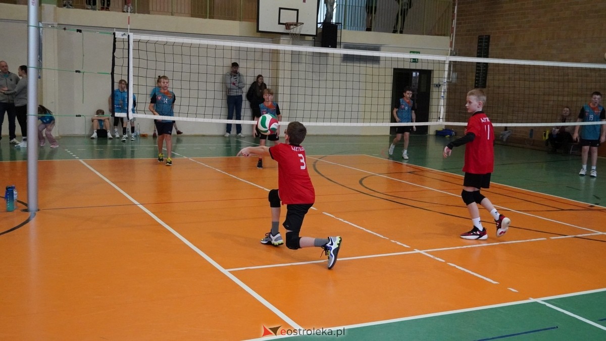 Turniej siatkarski UKS Olimp Ostrołęka [11.01.2025] - zdjęcie #179 - eOstroleka.pl