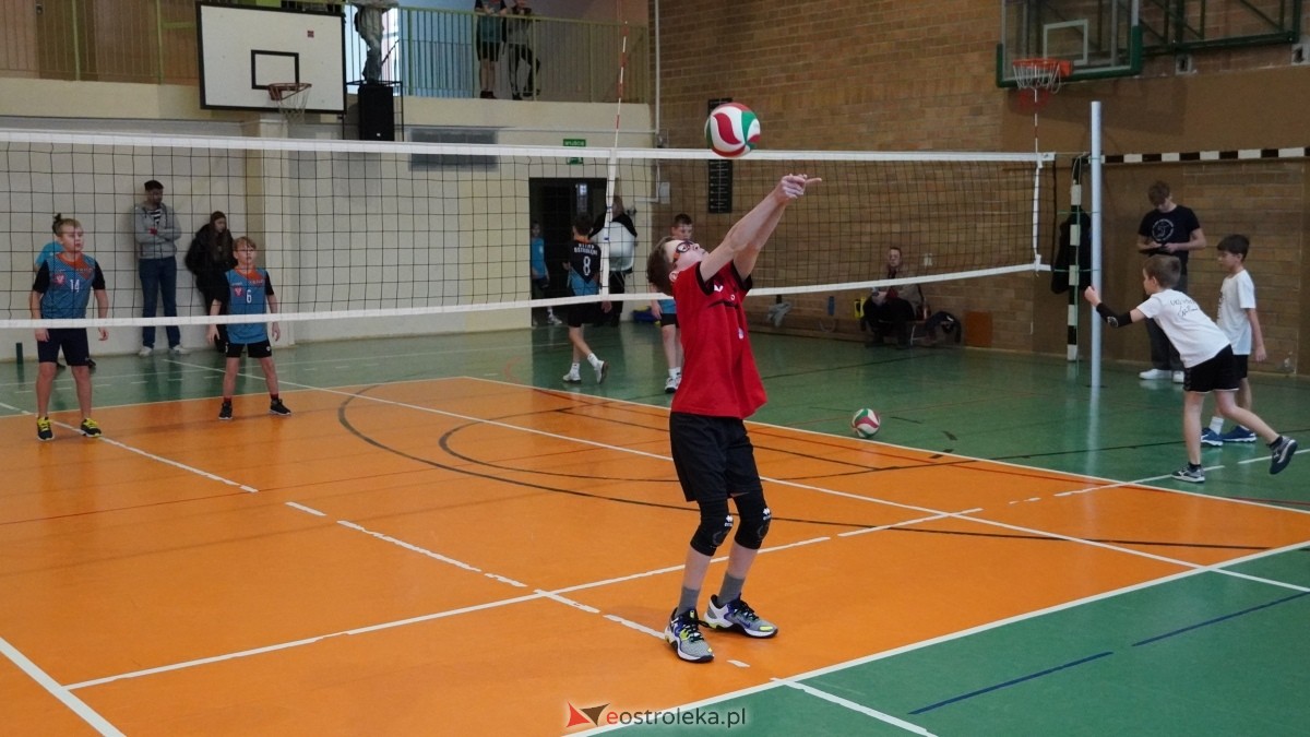 Turniej siatkarski UKS Olimp Ostrołęka [11.01.2025] - zdjęcie #178 - eOstroleka.pl