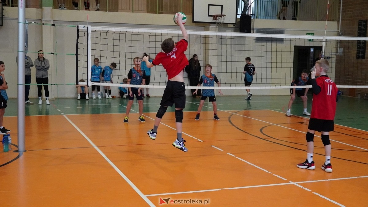 Turniej siatkarski UKS Olimp Ostrołęka [11.01.2025] - zdjęcie #177 - eOstroleka.pl