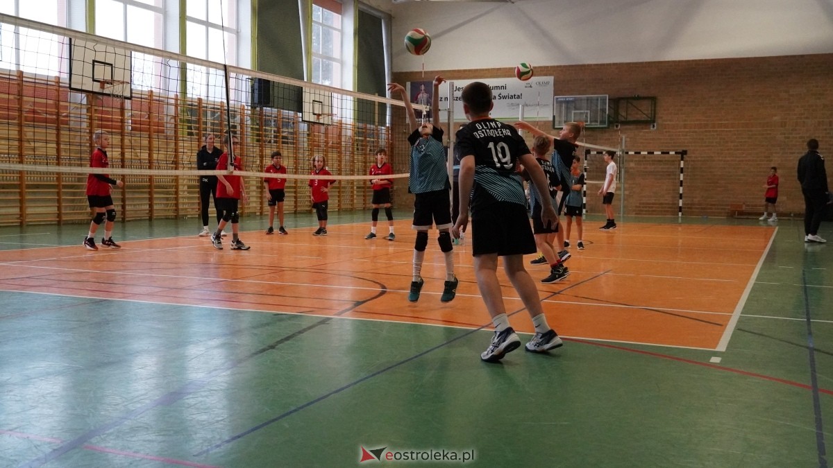 Turniej siatkarski UKS Olimp Ostrołęka [11.01.2025] - zdjęcie #173 - eOstroleka.pl
