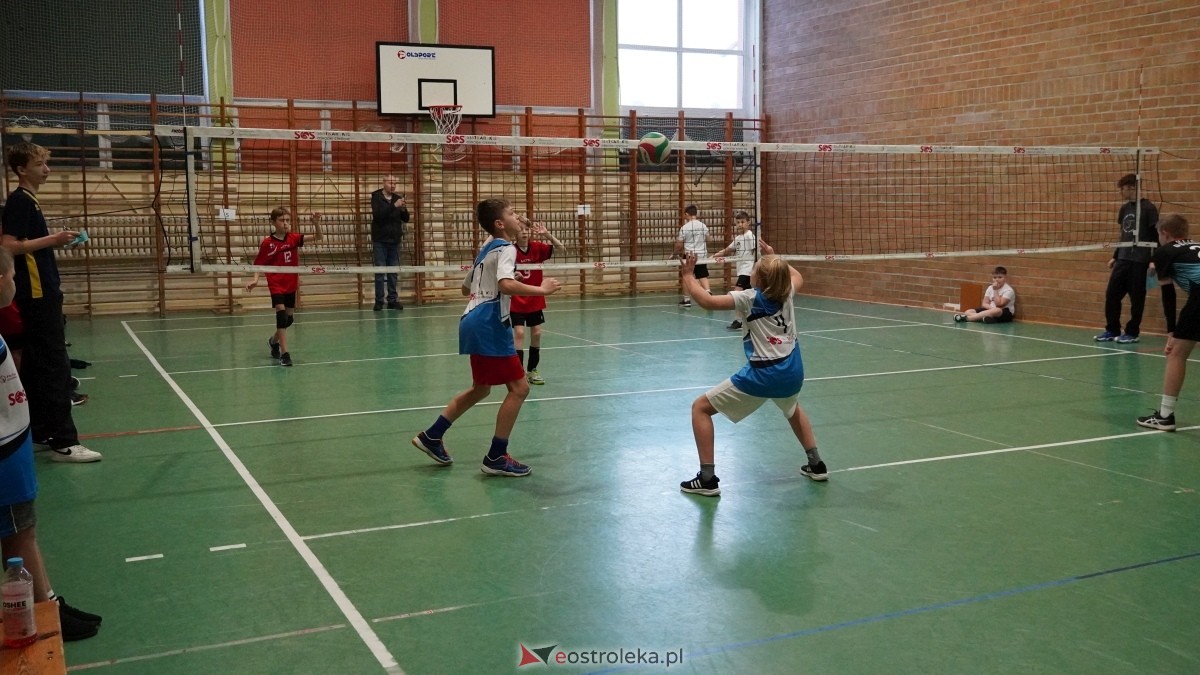 Turniej siatkarski UKS Olimp Ostrołęka [11.01.2025] - zdjęcie #161 - eOstroleka.pl