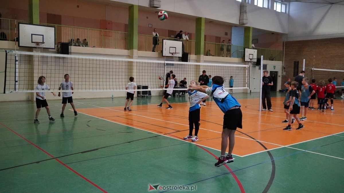 Turniej siatkarski UKS Olimp Ostrołęka [11.01.2025] - zdjęcie #155 - eOstroleka.pl