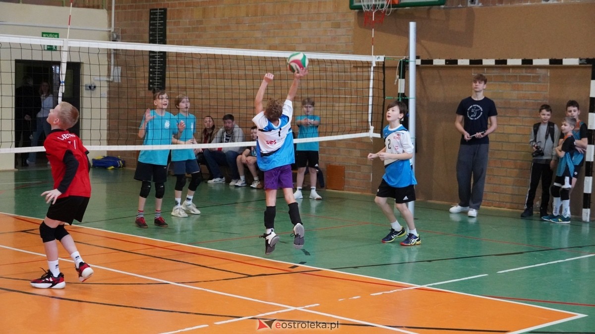 Turniej siatkarski UKS Olimp Ostrołęka [11.01.2025] - zdjęcie #149 - eOstroleka.pl