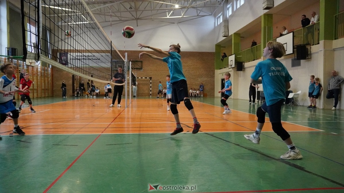 Turniej siatkarski UKS Olimp Ostrołęka [11.01.2025] - zdjęcie #143 - eOstroleka.pl