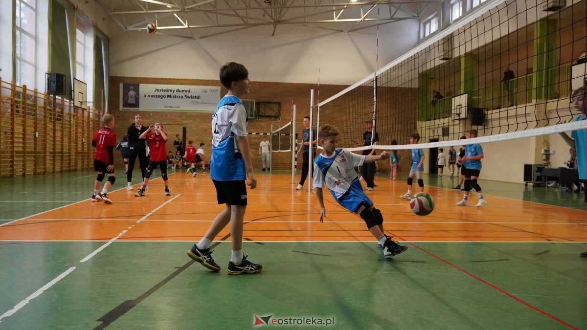 Turniej siatkarski UKS Olimp Ostrołęka [11.01.2025] - zdjęcie #141 - eOstroleka.pl