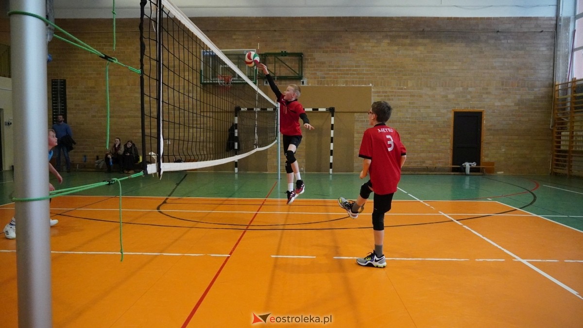 Turniej siatkarski UKS Olimp Ostrołęka [11.01.2025] - zdjęcie #133 - eOstroleka.pl
