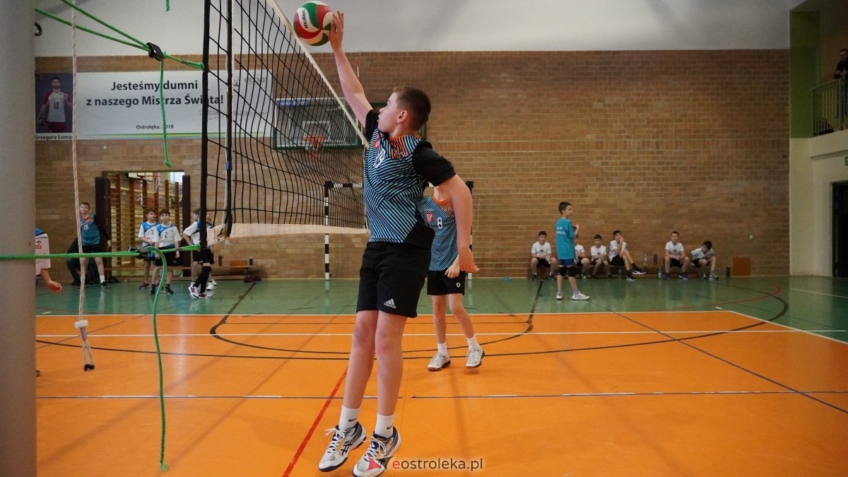 Turniej siatkarski UKS Olimp Ostrołęka [11.01.2025] - zdjęcie #127 - eOstroleka.pl