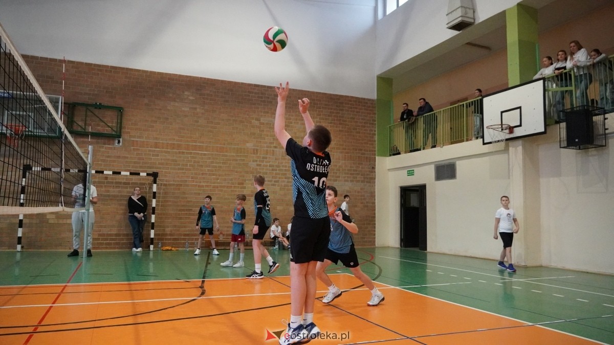 Turniej siatkarski UKS Olimp Ostrołęka [11.01.2025] - zdjęcie #103 - eOstroleka.pl