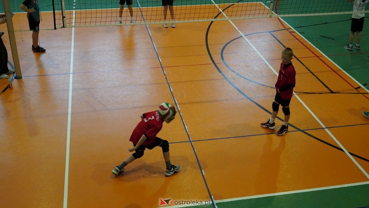 Turniej siatkarski UKS Olimp Ostrołęka [11.01.2025] - zdjęcie #99 - eOstroleka.pl