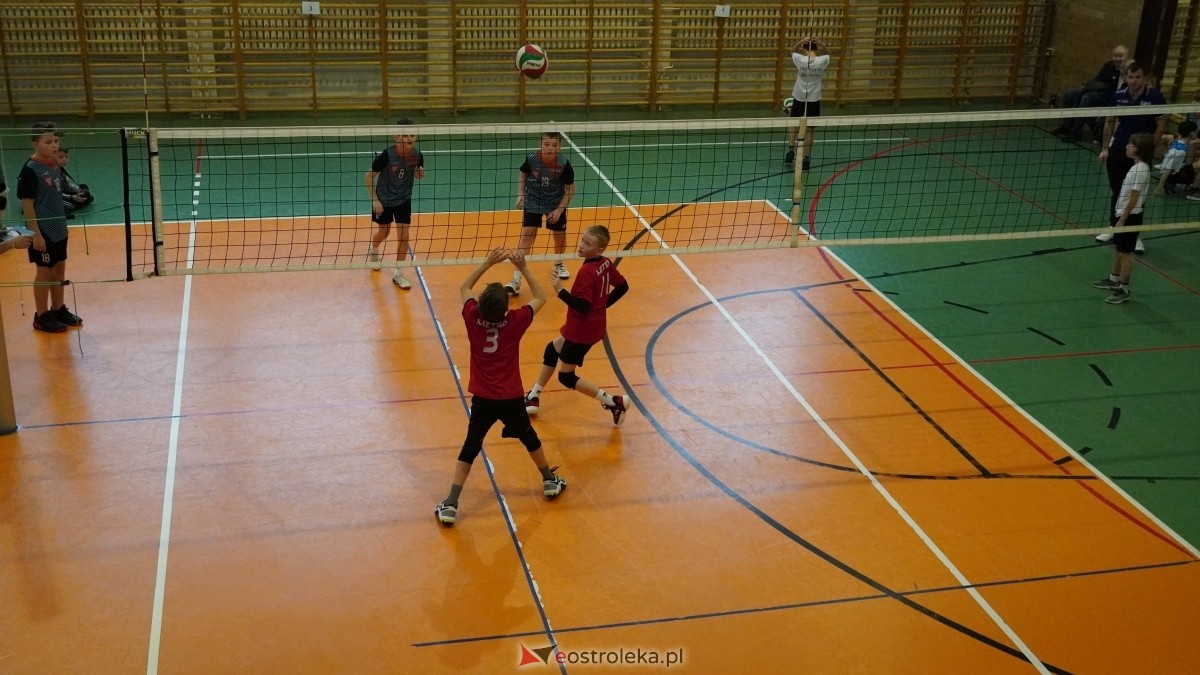 Turniej siatkarski UKS Olimp Ostrołęka [11.01.2025] - zdjęcie #93 - eOstroleka.pl