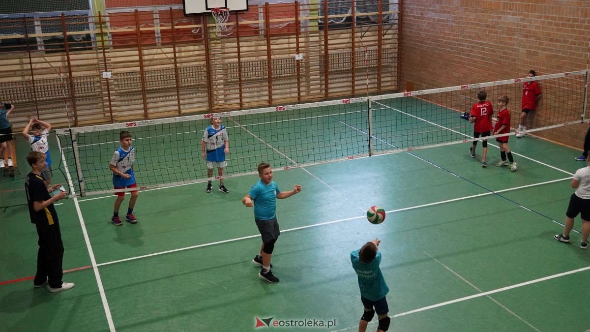 Turniej siatkarski UKS Olimp Ostrołęka [11.01.2025] - zdjęcie #85 - eOstroleka.pl