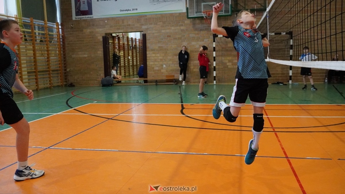 Turniej siatkarski UKS Olimp Ostrołęka [11.01.2025] - zdjęcie #33 - eOstroleka.pl