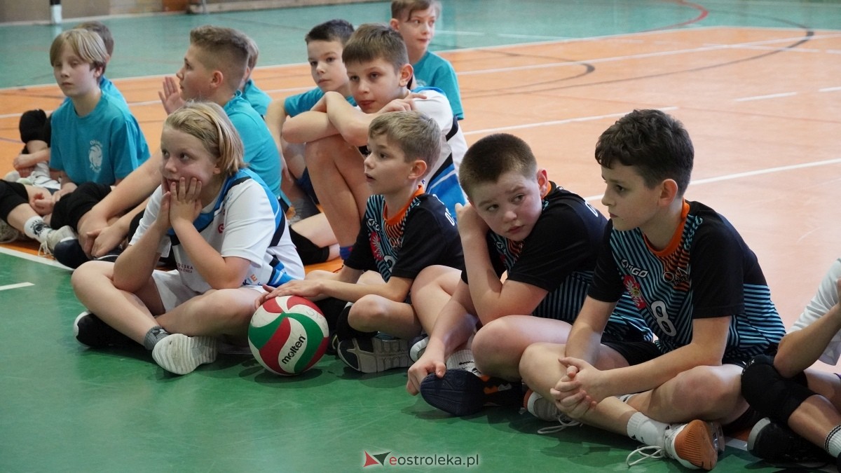 Turniej siatkarski UKS Olimp Ostrołęka [11.01.2025] - zdjęcie #31 - eOstroleka.pl
