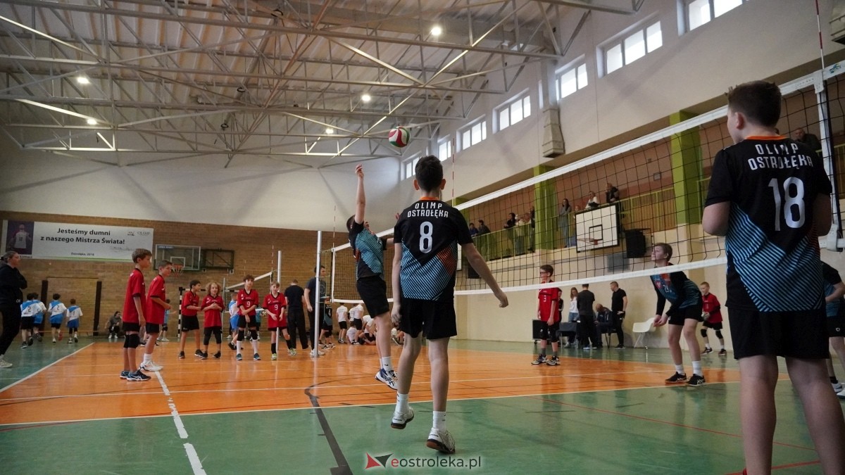 Turniej siatkarski UKS Olimp Ostrołęka [11.01.2025] - zdjęcie #21 - eOstroleka.pl
