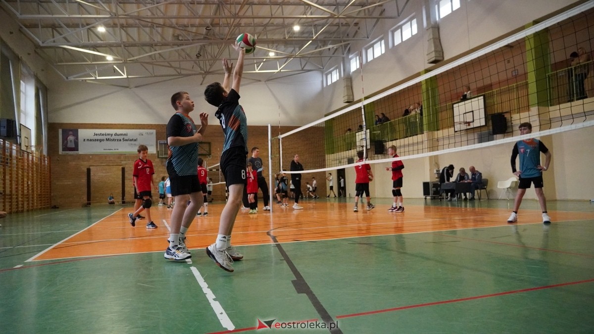 Turniej siatkarski UKS Olimp Ostrołęka [11.01.2025] - zdjęcie #20 - eOstroleka.pl