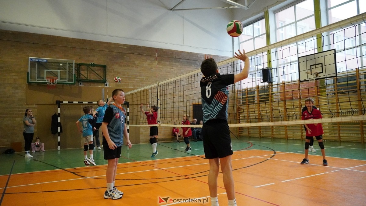 Turniej siatkarski UKS Olimp Ostrołęka [11.01.2025] - zdjęcie #14 - eOstroleka.pl