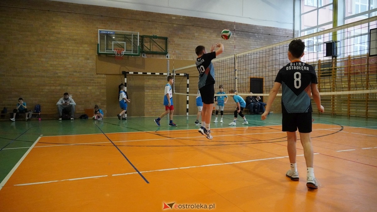 Turniej siatkarski UKS Olimp Ostrołęka [11.01.2025] - zdjęcie #10 - eOstroleka.pl