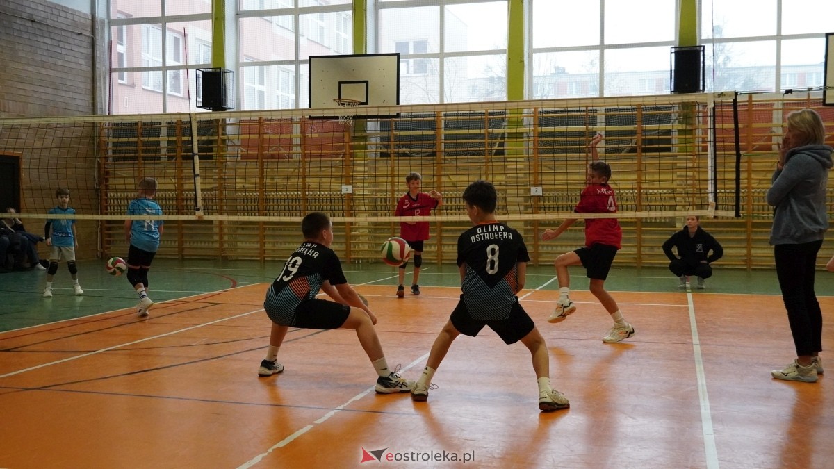 Turniej siatkarski UKS Olimp Ostrołęka [11.01.2025] - zdjęcie #3 - eOstroleka.pl