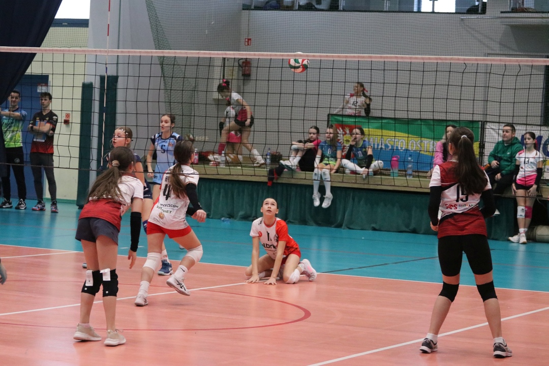 Ogólnopolski turniej siatkówki trójek [19.01.2025] - zdjęcie #22 - eOstroleka.pl