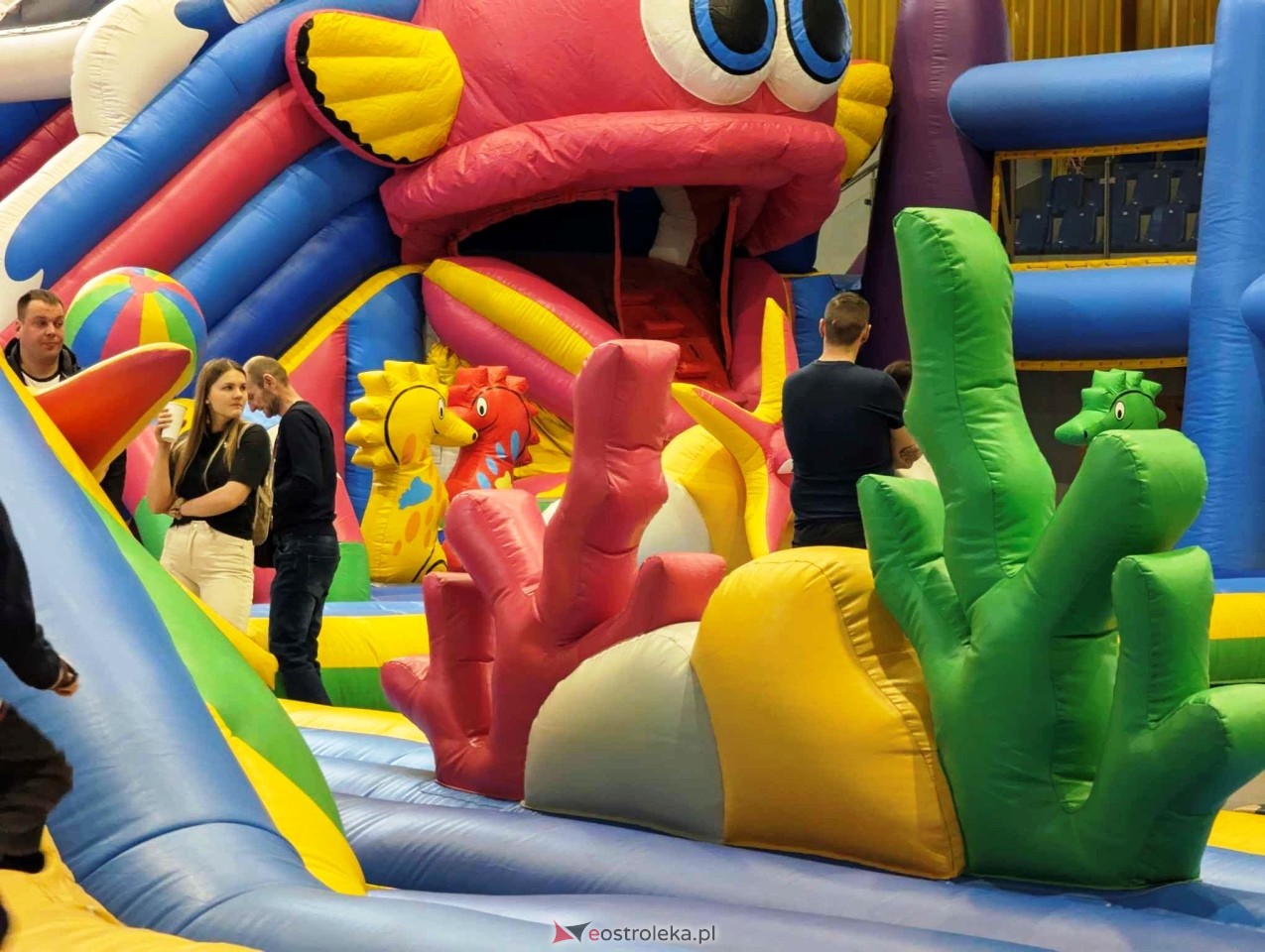 Festiwal Dmuchańców w Ostrołęce [8.02.2025] - zdjęcie #95 - eOstroleka.pl