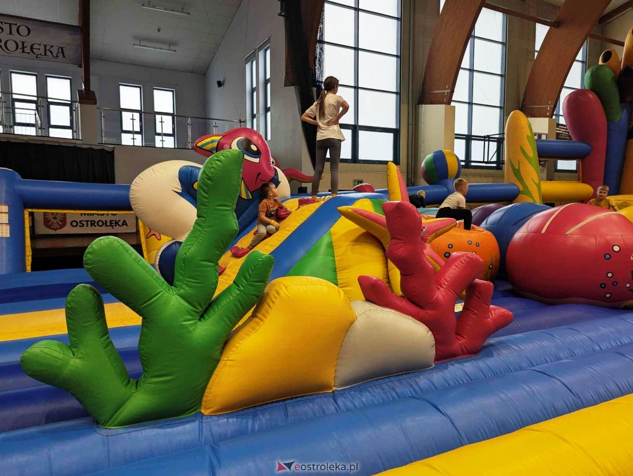 Festiwal Dmuchańców w Ostrołęce [8.02.2025] - zdjęcie #81 - eOstroleka.pl