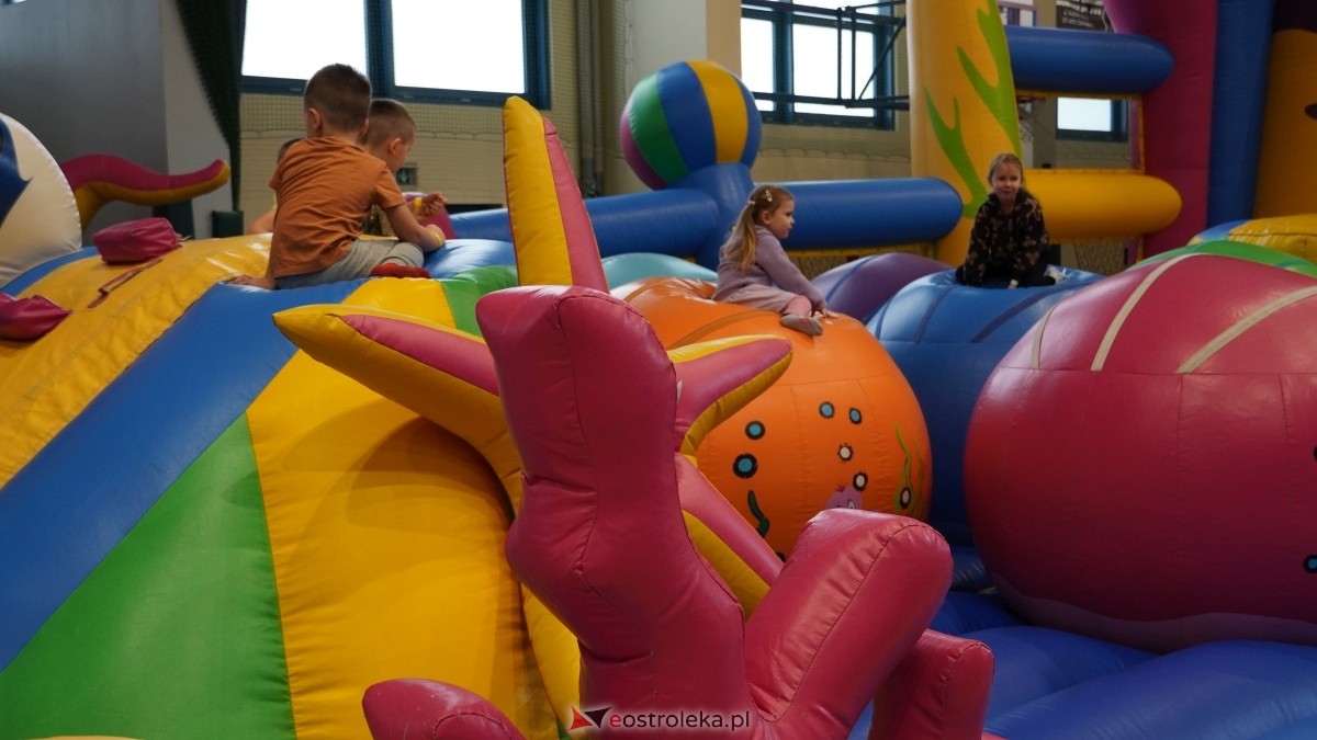 Festiwal Dmuchańców w Ostrołęce [8.02.2025] - zdjęcie #70 - eOstroleka.pl