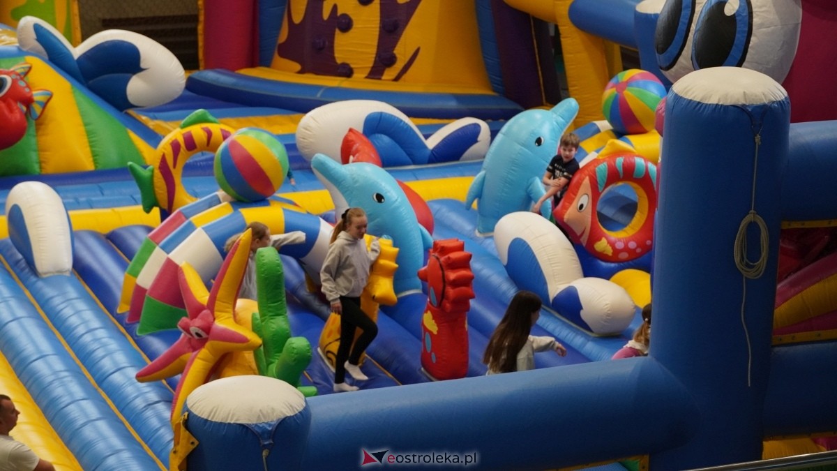 Festiwal Dmuchańców w Ostrołęce [8.02.2025] - zdjęcie #49 - eOstroleka.pl