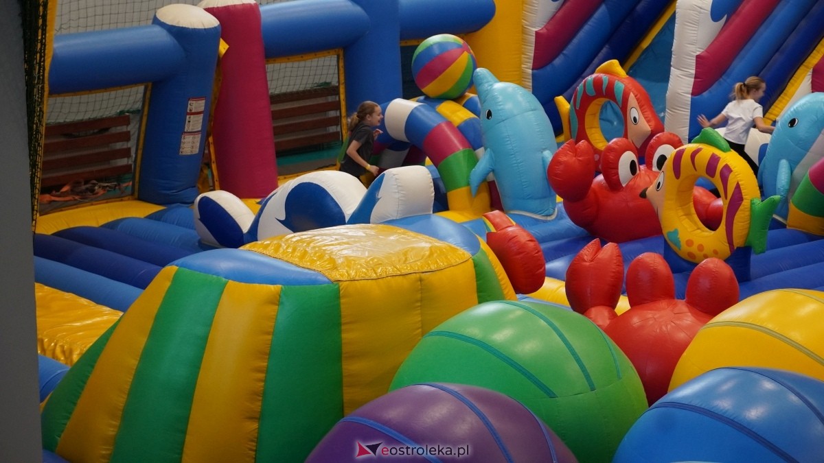 Festiwal Dmuchańców w Ostrołęce [8.02.2025] - zdjęcie #22 - eOstroleka.pl