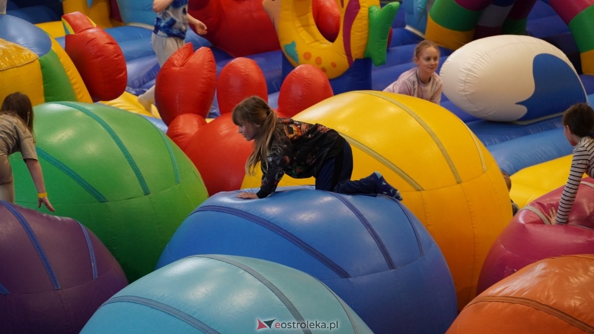 Festiwal Dmuchańców w Ostrołęce [8.02.2025] - zdjęcie #12 - eOstroleka.pl