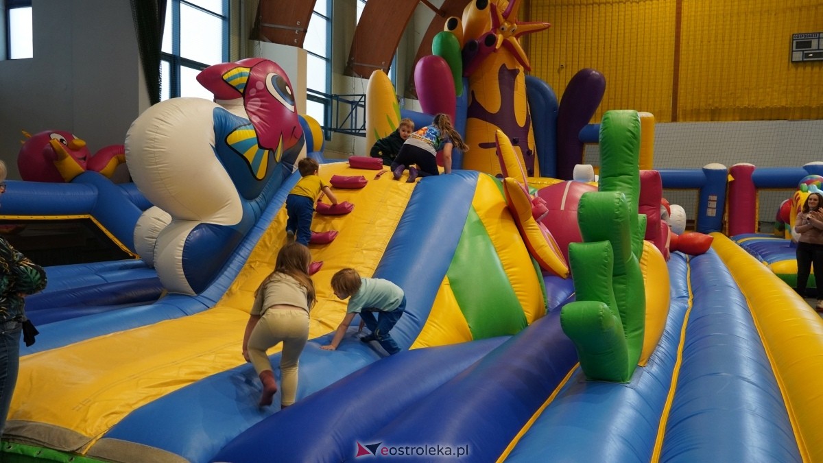 Festiwal Dmuchańców w Ostrołęce [8.02.2025] - zdjęcie #3 - eOstroleka.pl