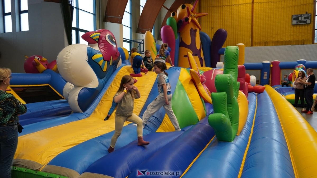 Festiwal Dmuchańców w Ostrołęce [8.02.2025] - zdjęcie #1 - eOstroleka.pl