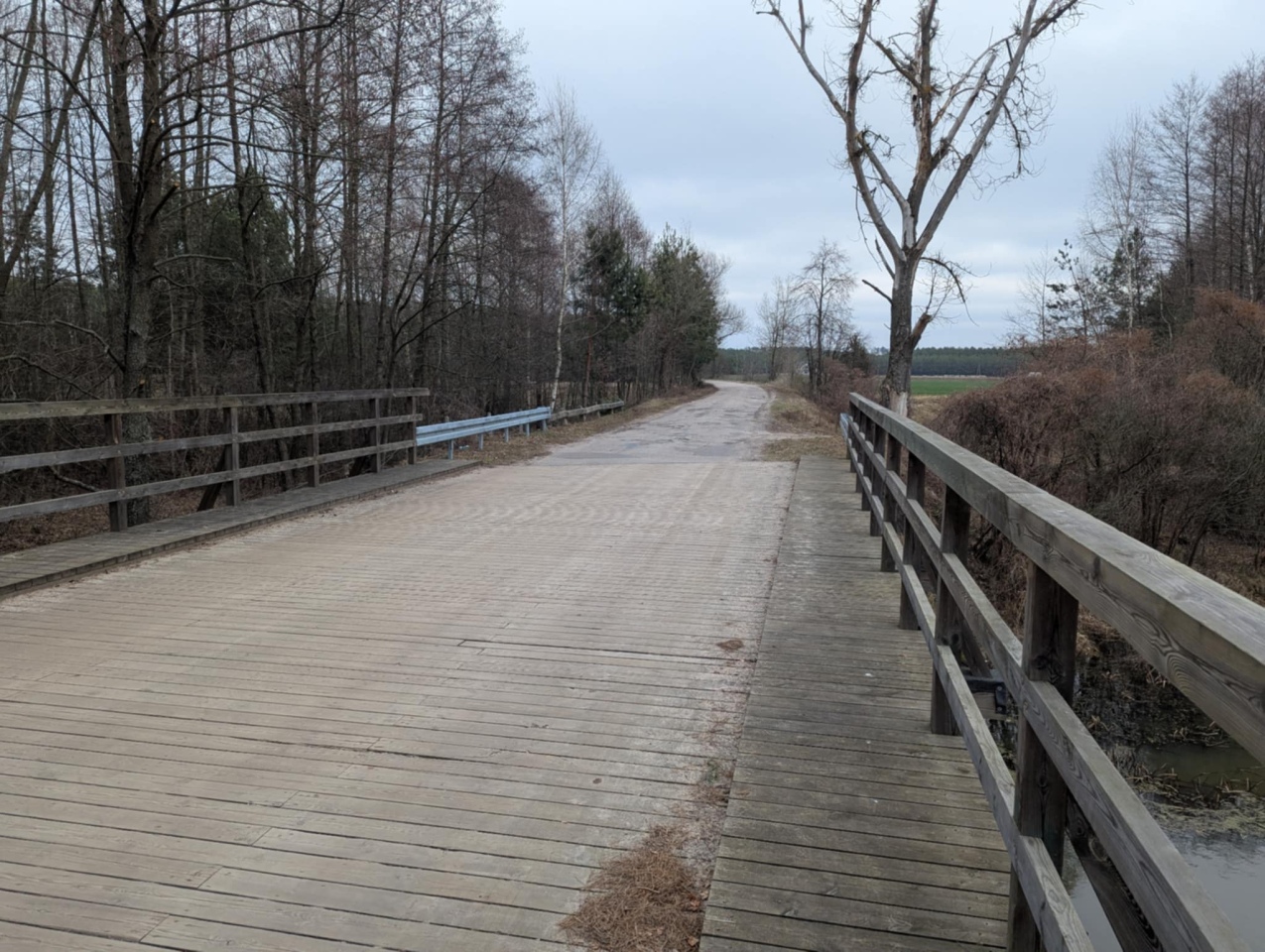 Rzeka Szkwa na granicy gm. Lelis i Zbójna [10.02.2025] - zdjęcie #10 - eOstroleka.pl