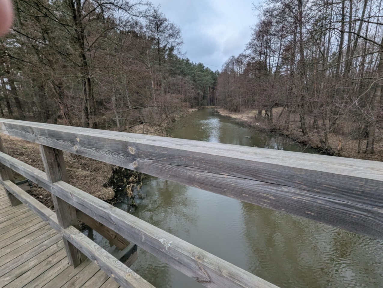 Rzeka Szkwa na granicy gm. Lelis i Zbójna [10.02.2025] - zdjęcie #6 - eOstroleka.pl