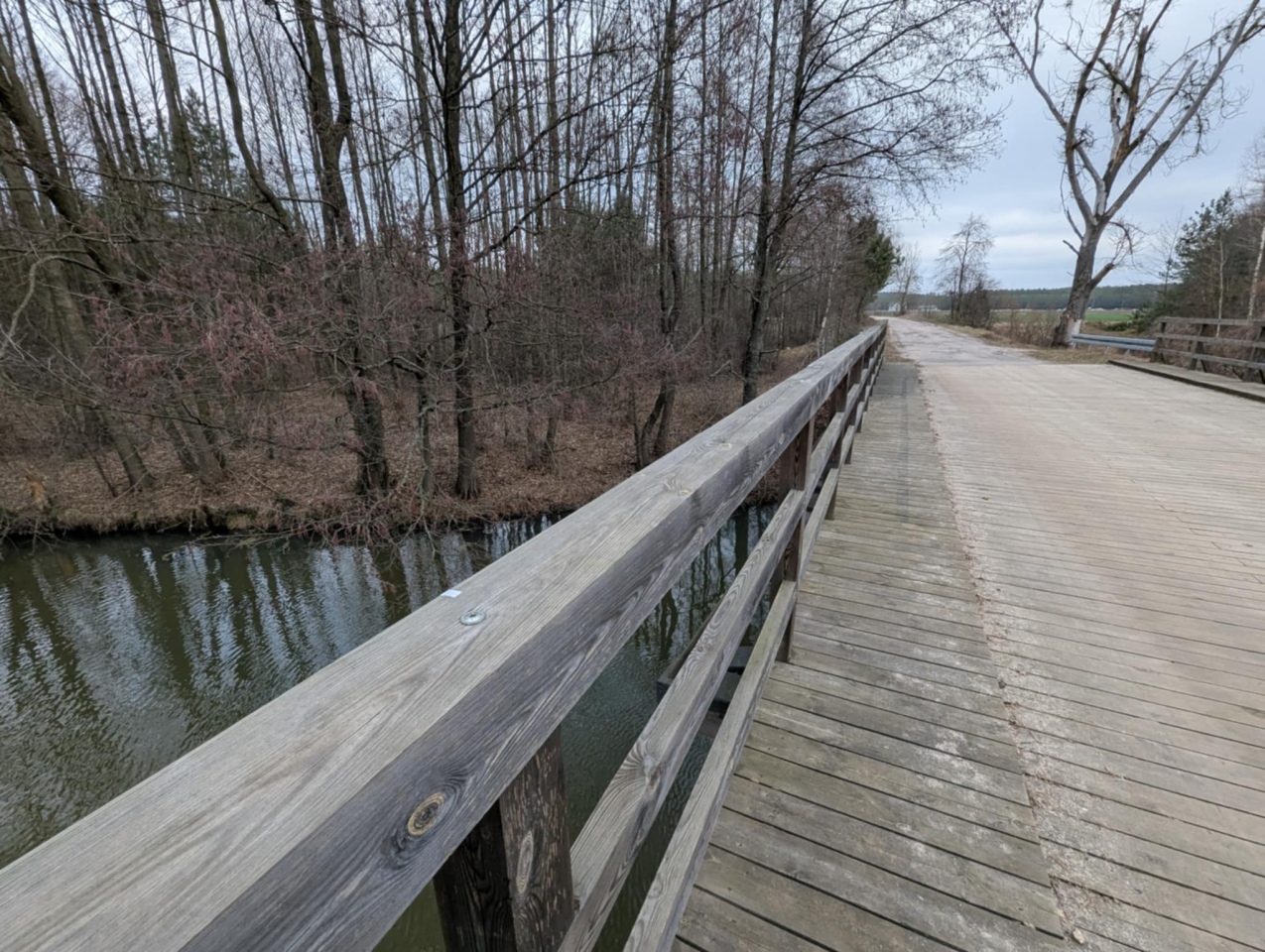 Rzeka Szkwa na granicy gm. Lelis i Zbójna [10.02.2025] - zdjęcie #8 - eOstroleka.pl