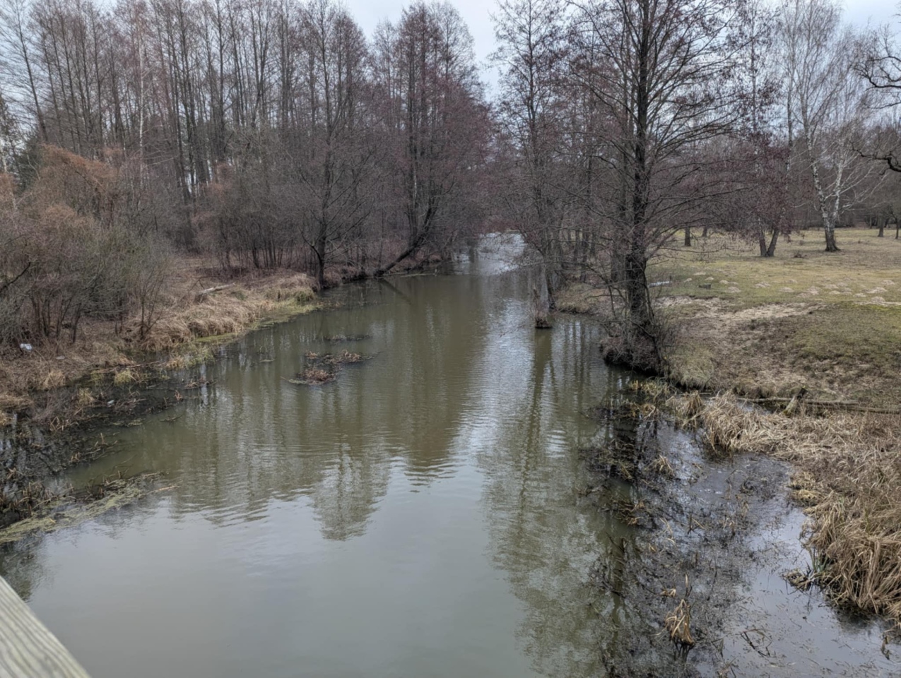 Rzeka Szkwa na granicy gm. Lelis i Zbójna [10.02.2025] - zdjęcie #7 - eOstroleka.pl