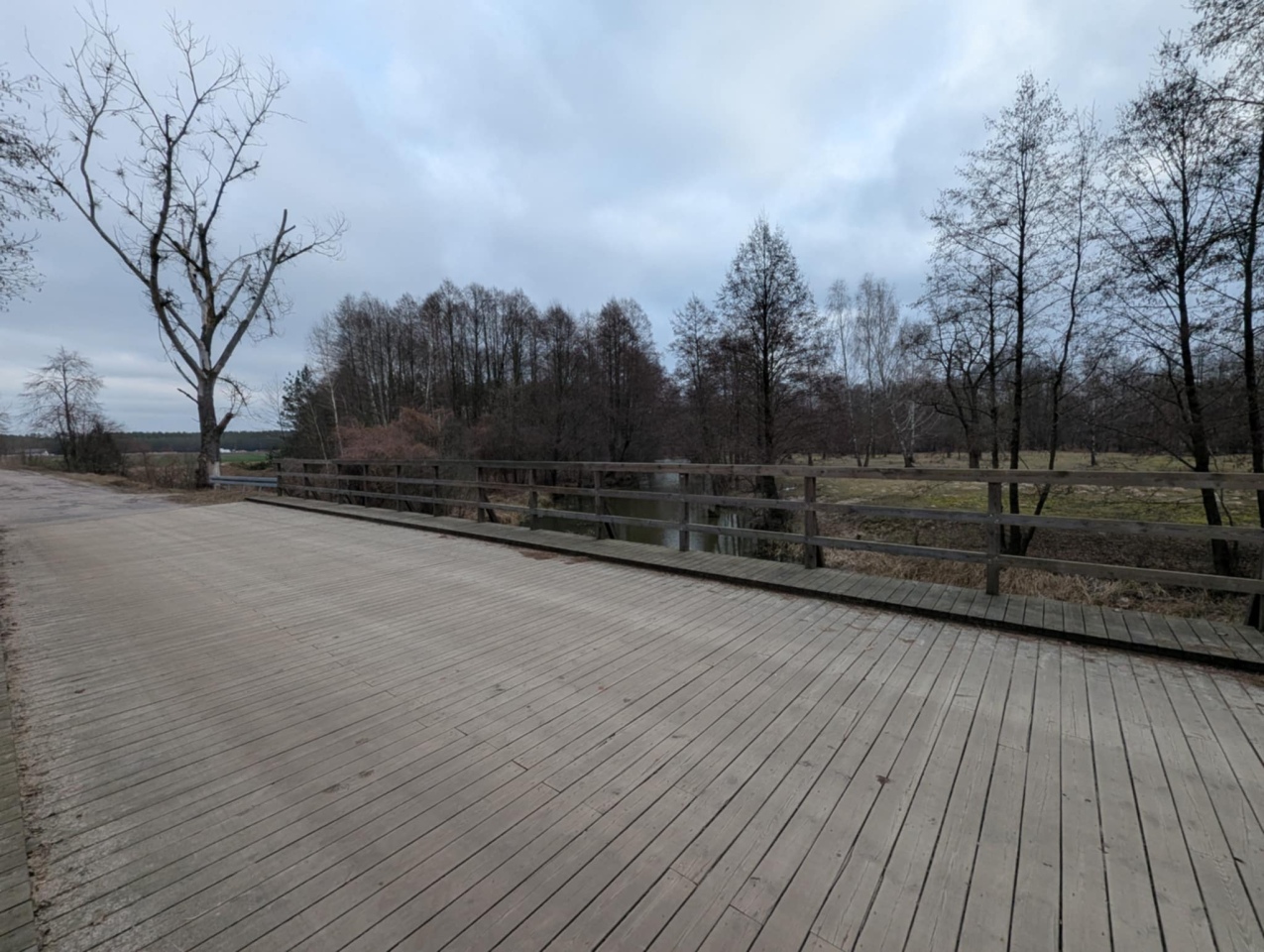 Rzeka Szkwa na granicy gm. Lelis i Zbójna [10.02.2025] - zdjęcie #13 - eOstroleka.pl