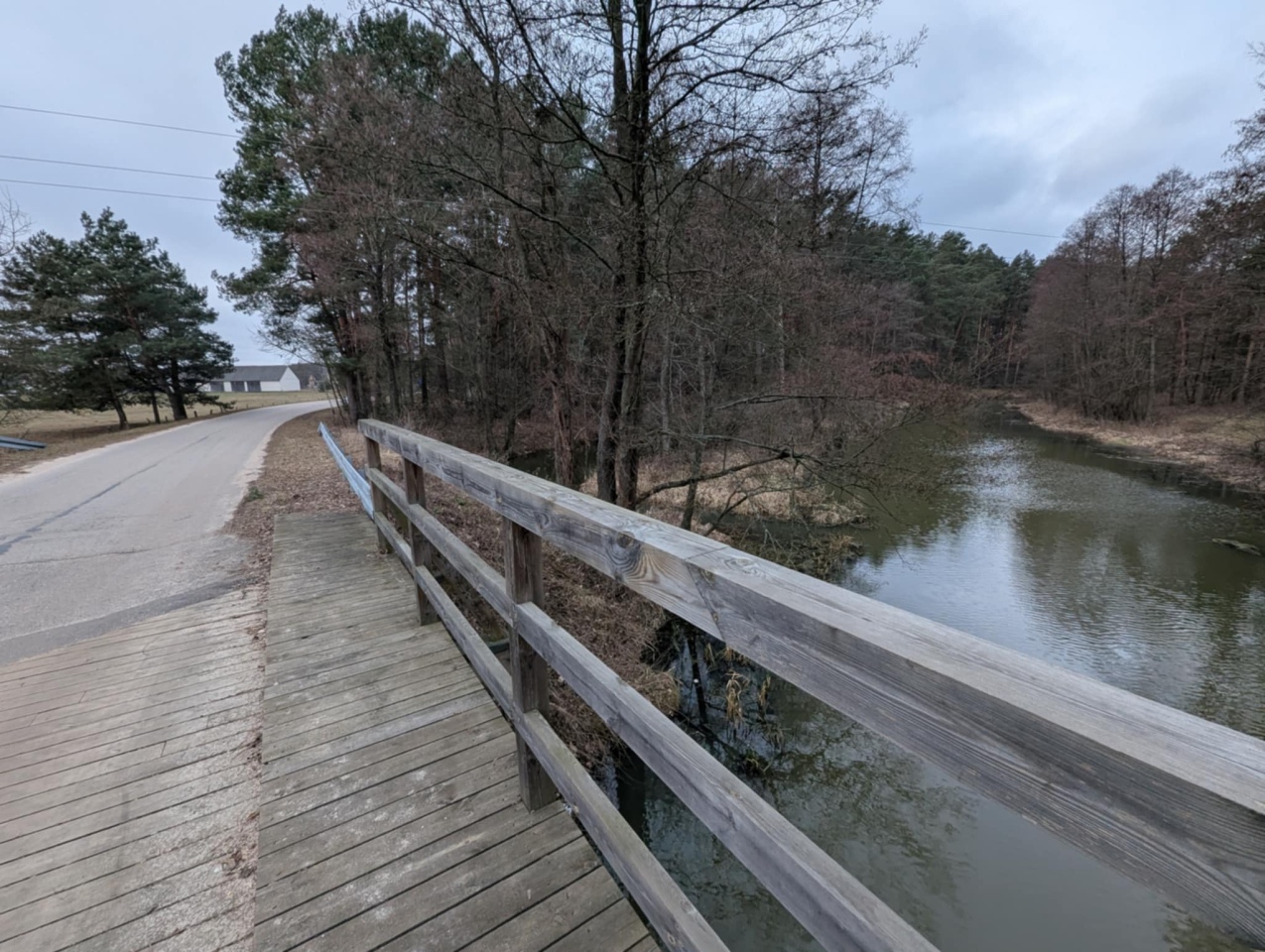 Rzeka Szkwa na granicy gm. Lelis i Zbójna [10.02.2025] - zdjęcie #12 - eOstroleka.pl