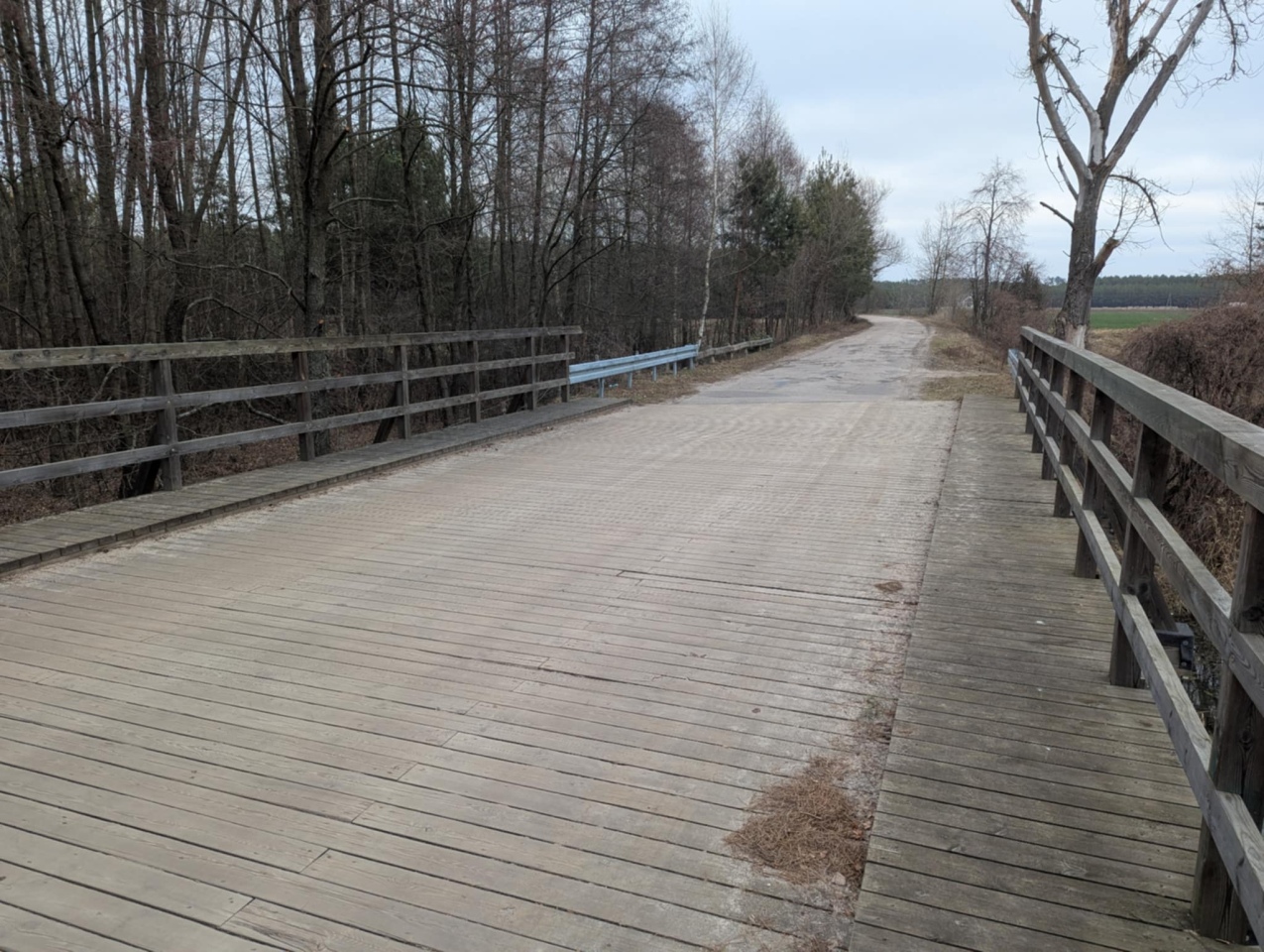 Rzeka Szkwa na granicy gm. Lelis i Zbójna [10.02.2025] - zdjęcie #5 - eOstroleka.pl