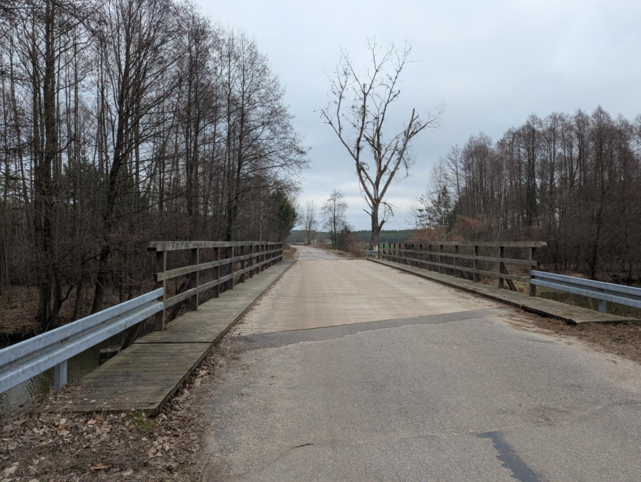 Rzeka Szkwa na granicy gm. Lelis i Zbójna [10.02.2025] - zdjęcie #4 - eOstroleka.pl