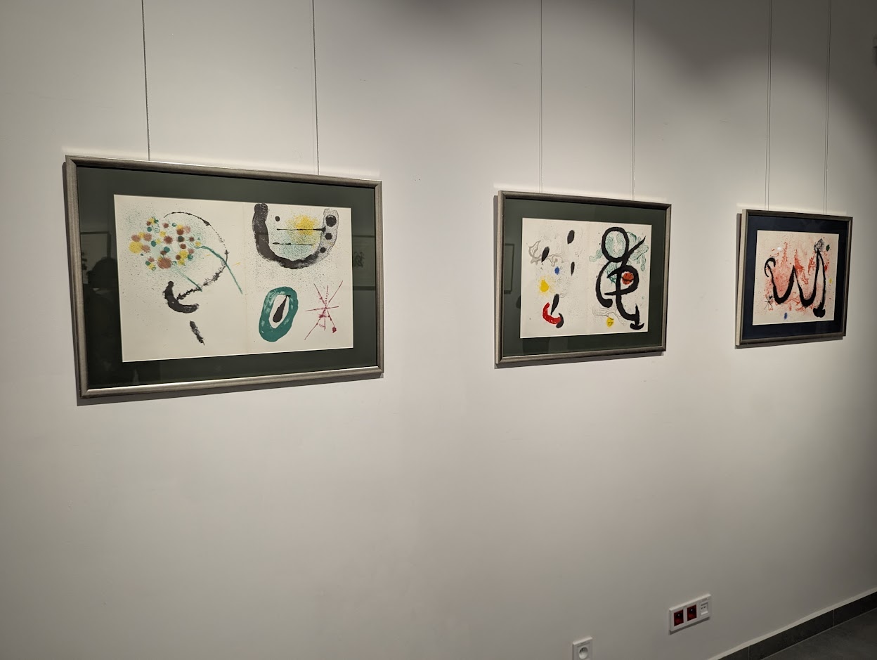 Wernisaż dzieł Joana Miró w Galerii Ostrołęka [13.02.2025] - zdjęcie #17 - eOstroleka.pl