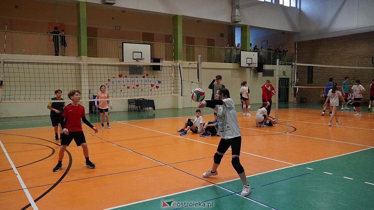 Walentynkowy turniej siatkówki w SP 5 [19.02.2025] - zdjęcie #12 - eOstroleka.pl