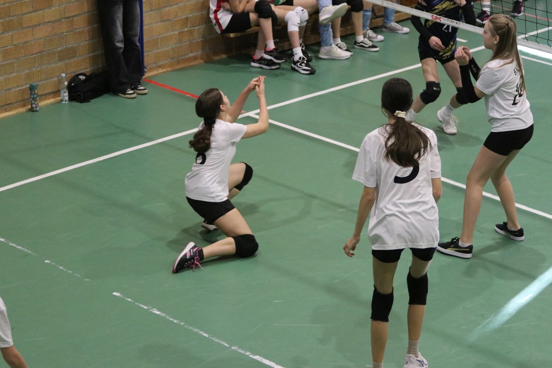 Festiwal siatkówki w Ostrołęce [23.02.2025] - zdjęcie #20 - eOstroleka.pl