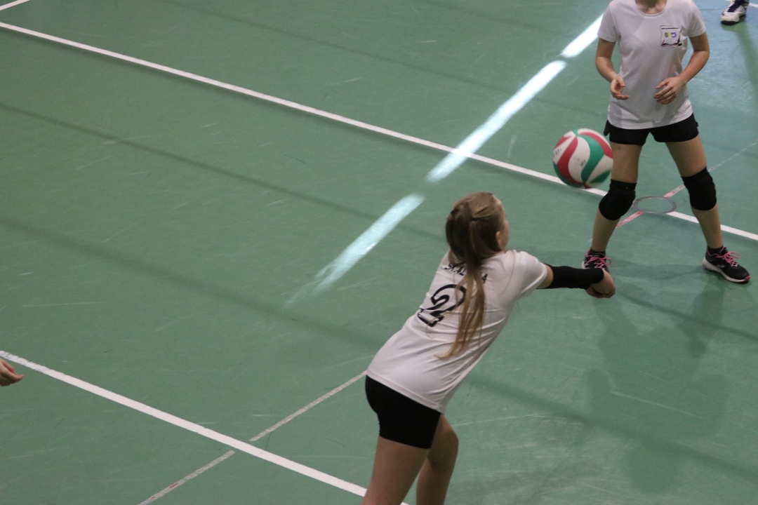 Festiwal siatkówki w Ostrołęce [23.02.2025] - zdjęcie #15 - eOstroleka.pl