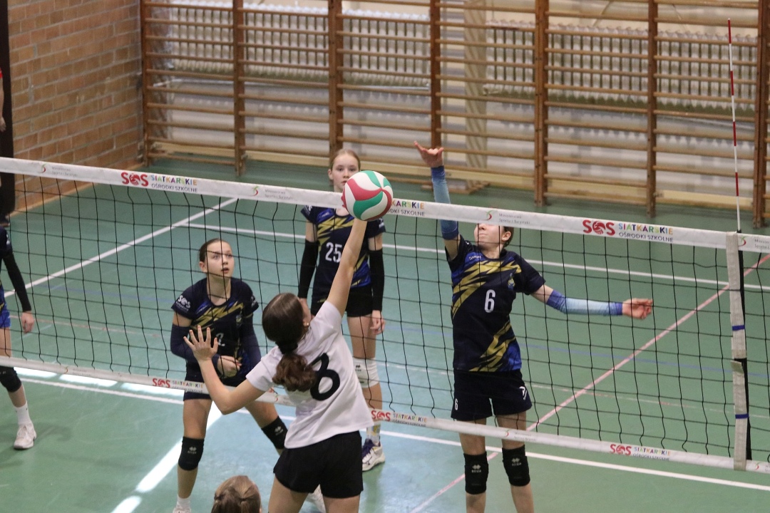 Festiwal siatkówki w Ostrołęce [23.02.2025] - zdjęcie #12 - eOstroleka.pl