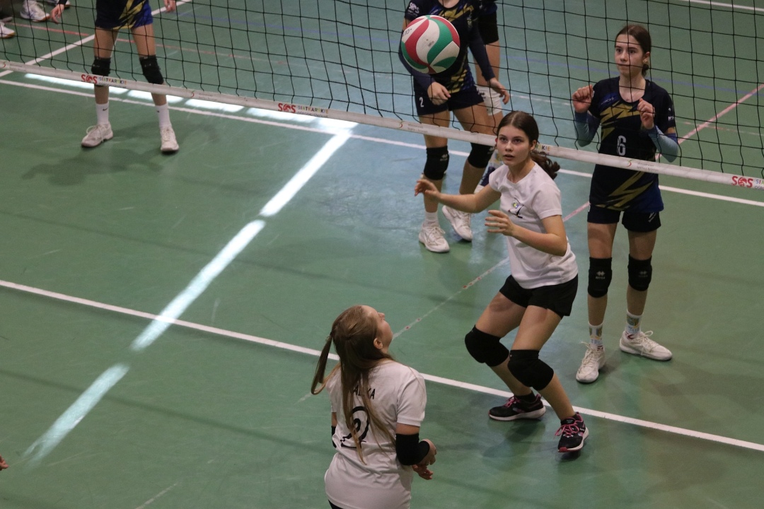 Festiwal siatkówki w Ostrołęce [23.02.2025] - zdjęcie #11 - eOstroleka.pl