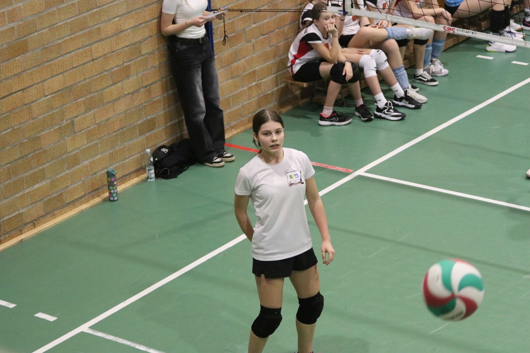 Festiwal siatkówki w Ostrołęce [23.02.2025] - zdjęcie #5 - eOstroleka.pl