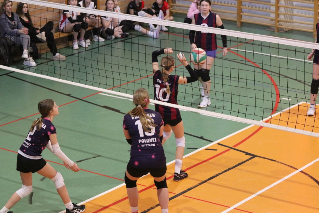 Festiwal siatkówki w Ostrołęce [23.02.2025] - zdjęcie #2 - eOstroleka.pl
