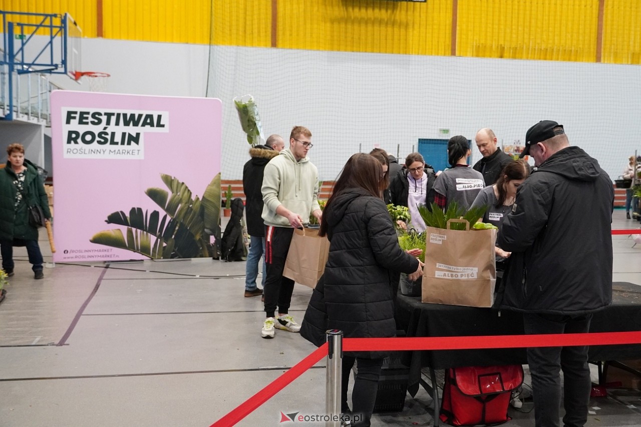 Festiwal Roślin w Ostrołęce [1.03.2025] - zdjęcie #35 - eOstroleka.pl