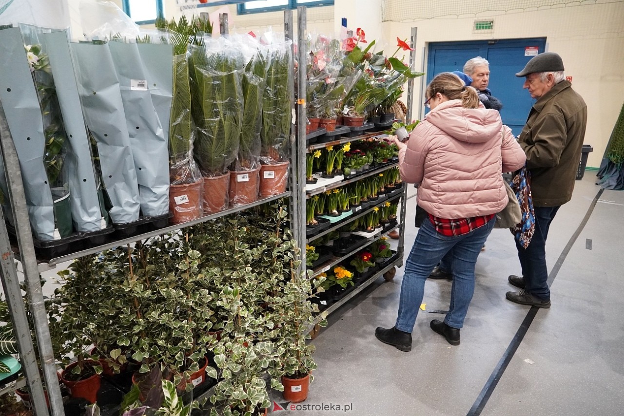 Festiwal Roślin w Ostrołęce [1.03.2025] - zdjęcie #28 - eOstroleka.pl