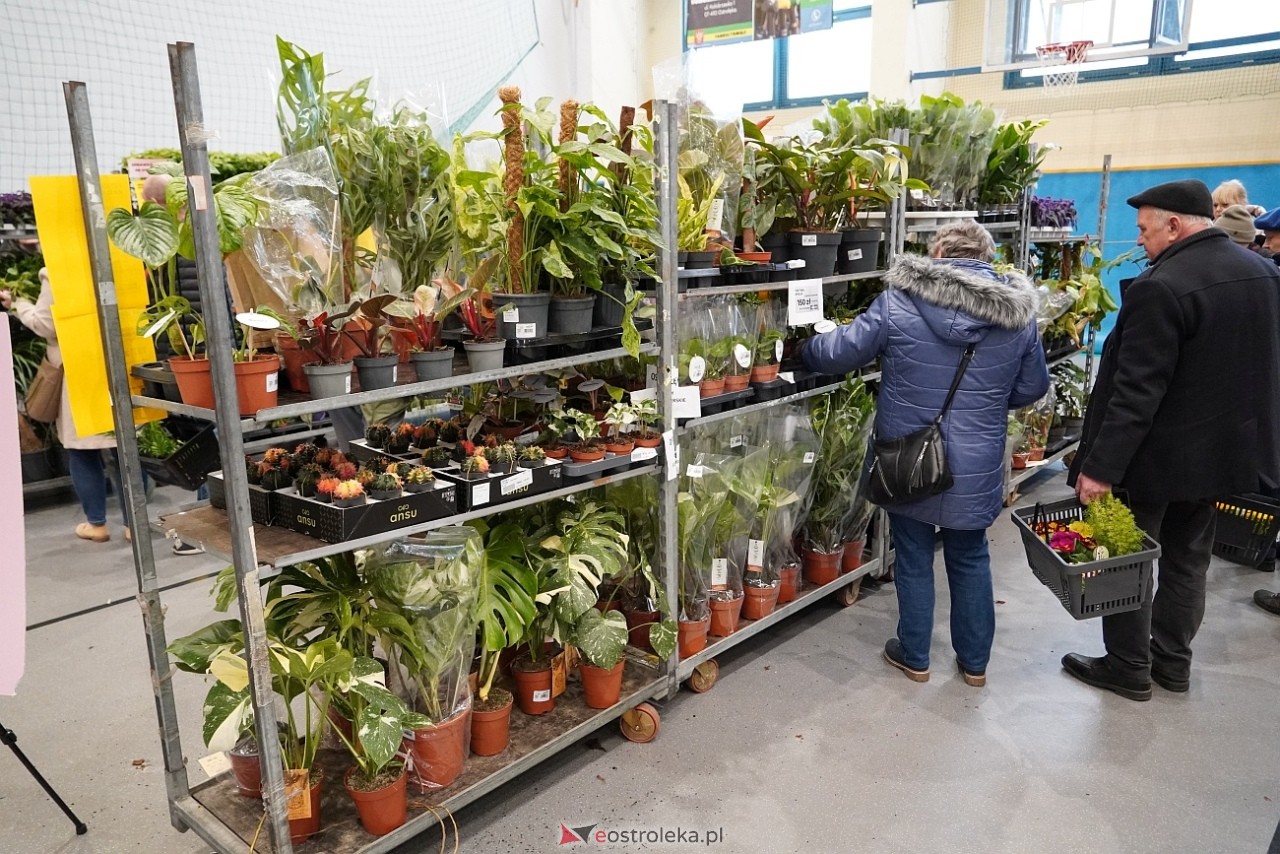Festiwal Roślin w Ostrołęce [1.03.2025] - zdjęcie #26 - eOstroleka.pl